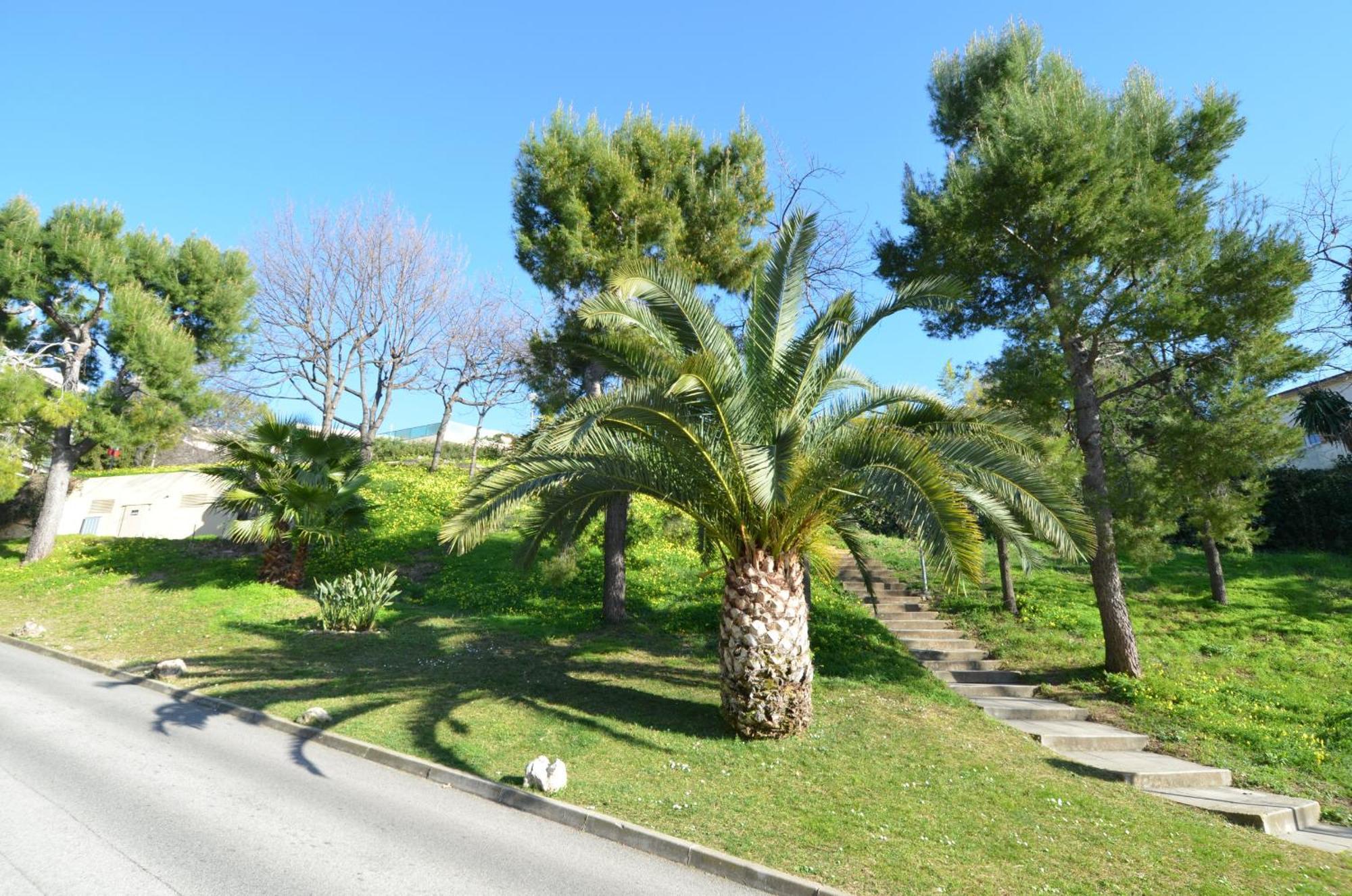 Plein Ciel - Appartement 5 Personnes Avec Piscine Sur La Corniche Fleurie A Nice Dış mekan fotoğraf